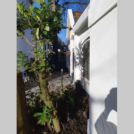 Oranjerie, 7 km onder Groningen Leilighet Paterswolde Eksteriør bilde